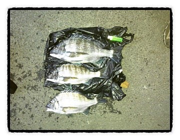 IMG_20121125_171616.jpg?type=w740