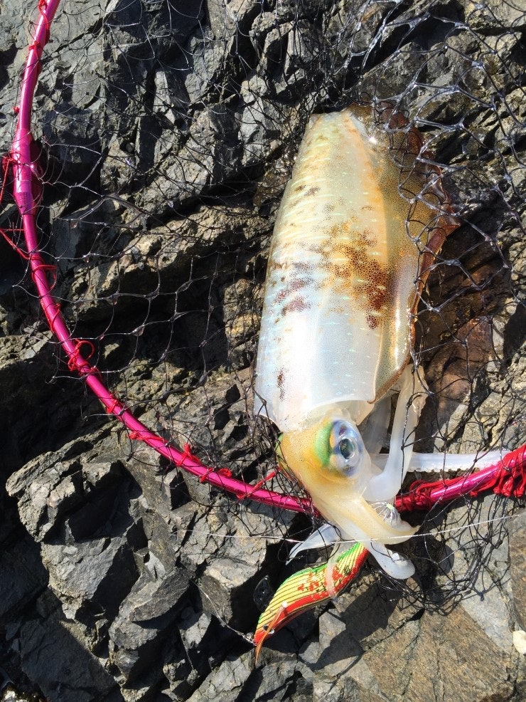 IMG_1178.JPG?type=w740