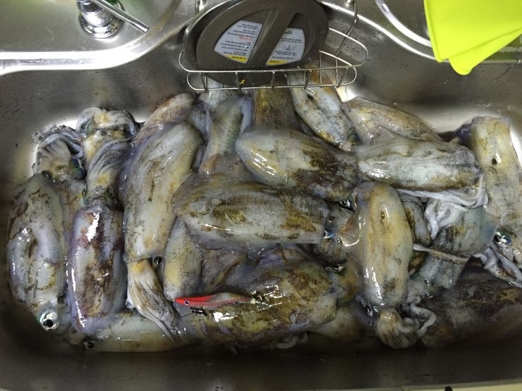 IMG_1200.JPG?type=w740