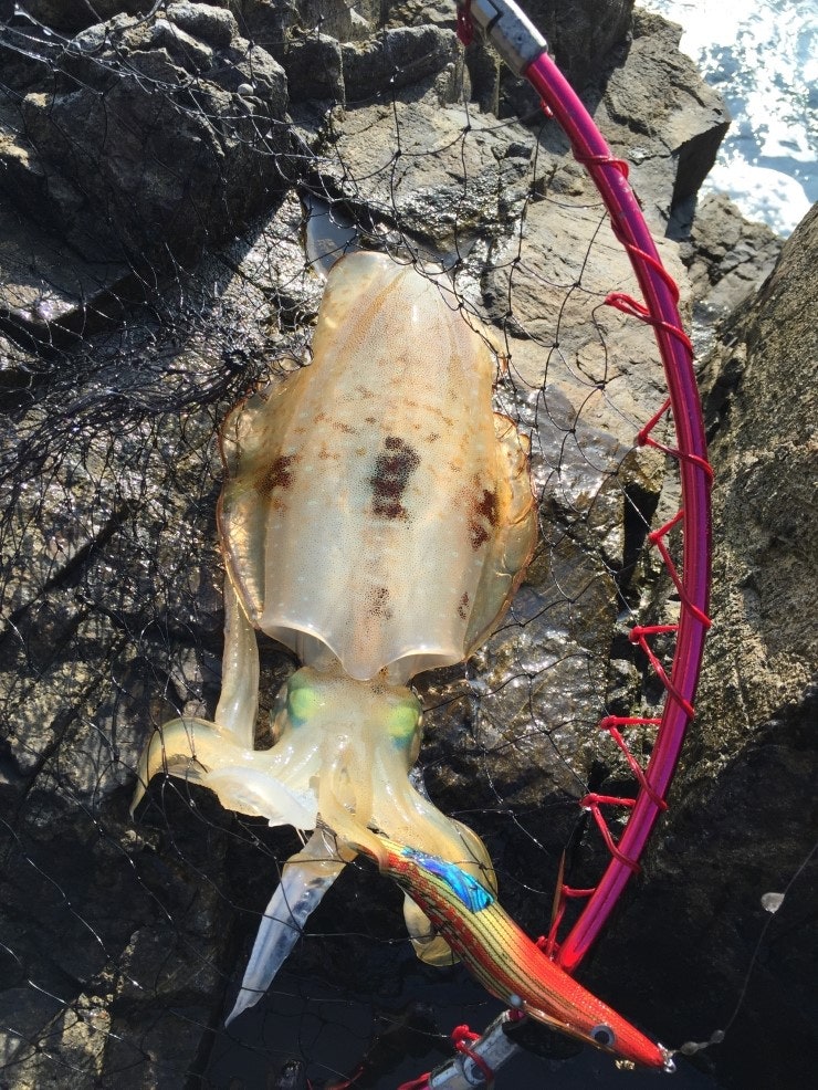 IMG_1175.JPG?type=w740