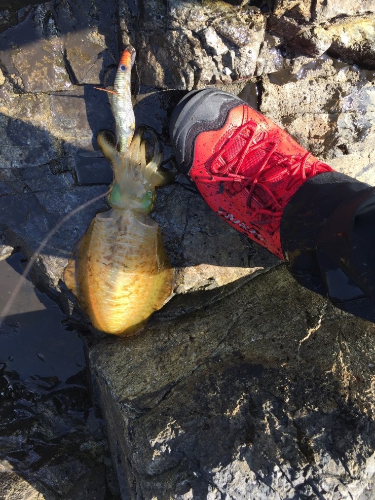 IMG_1180.JPG?type=w740